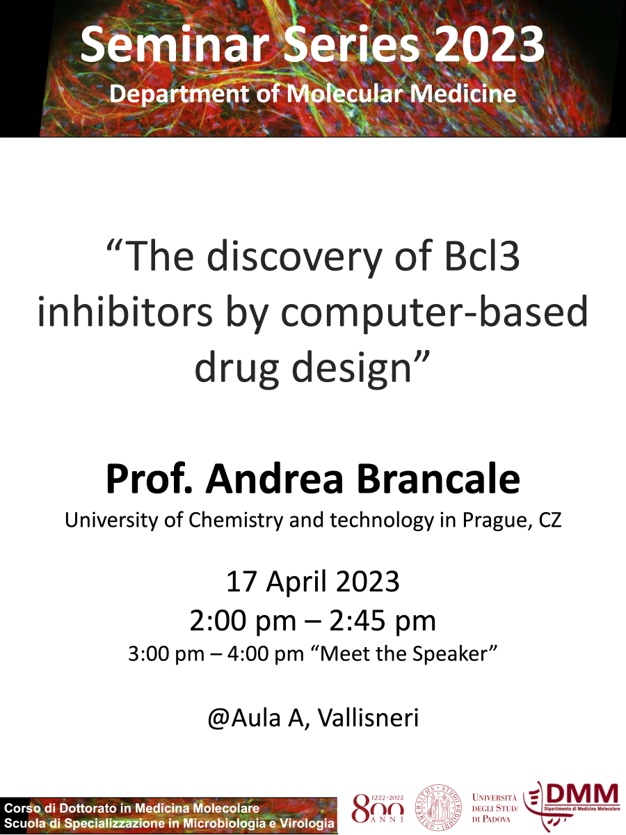 Prof. Brancale Flyer